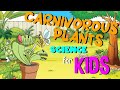 Carnivorous Plants Quiz