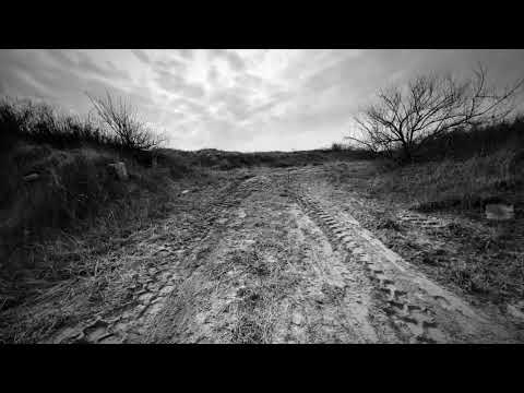 Гей Зажурився Сивий Соколонько Traditional Roman Turovsky Voice Banjo 