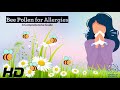 Bee Pollen for Allergies: The Ultimate Guide to Wellness