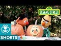 Sesame Street: Bert & Ernie's Pumpkin Painting Challenge | Backyard with Bert #1