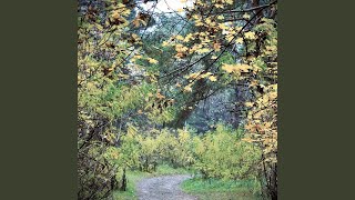 Autumnal Tango in Kyiv
