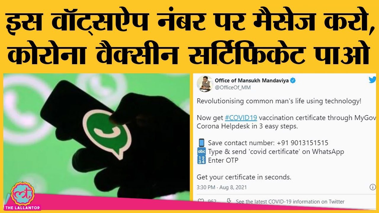 MyGov Corona HelpDesk  WhatsApp Number पर कैसे मिलेगा COVID Certificate, आसान भाषा में समझिए। Corona