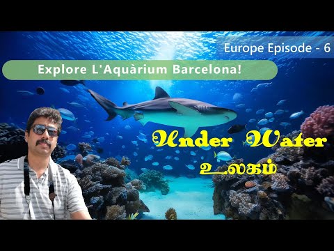 Exploring L’Aquàrium Barcelona: Europe’s Marine Wonderland! [4K] | Europe Episode - 6