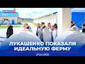 Поручения Лукашенко | Заседание ЦИК | Совместные разработки с Россией | Новости Беларусь-РТР