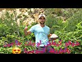 طاجين على طريقة شاف موحا 100 سوسي
