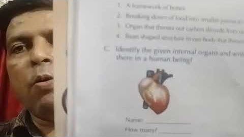 Class IV EVS 16 06 2021 by Mr Rupesh Chapter 2 Book exercise