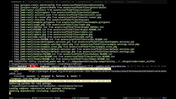 Fixing composer dependency issues in a Drupal project