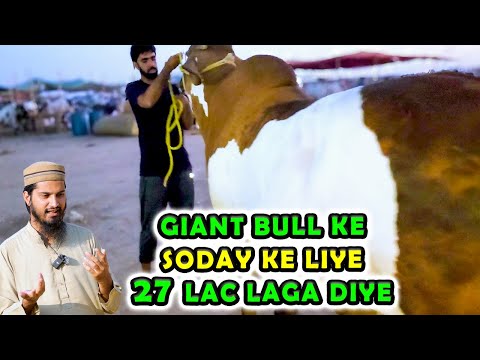 Northern Bypass Cow Mandi Off The Camera Price Updates | Cattle Market Karachi | Bakra Eid 2024