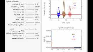 Optical Properties of Biological Tissue in the THz Radiation Regime