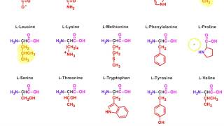 R Group