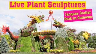 Live Plant sculptures at Jacques Cartier Park in Gatineau | Quebec | Canada Travel Guide | 2017