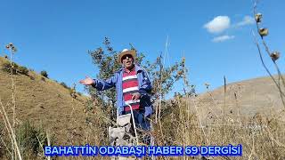 Can Maral Türküsü