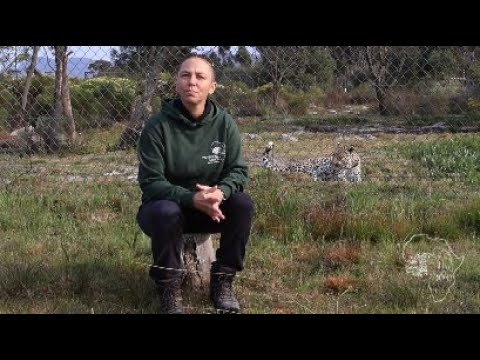 The Power of Rescue: Episode 9 of Our 12-Part Series