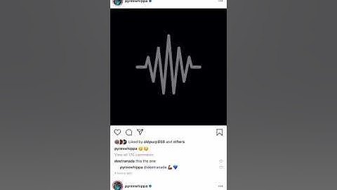 Pyrex Whippa – Adios Snippet (Looped)