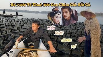 Chi 7.500 Tệ Thuê 300 Chim Cốc Bắt Cá – Như Xuyên Không Về ĐẢO ĐÀO HOA của Phim "TIẾU NGẠO GIANG HỒ"