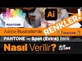 Adobe illustrator'de RENKLER CMYK - Pantone Spot Extra Renk Nasıl Verilir?