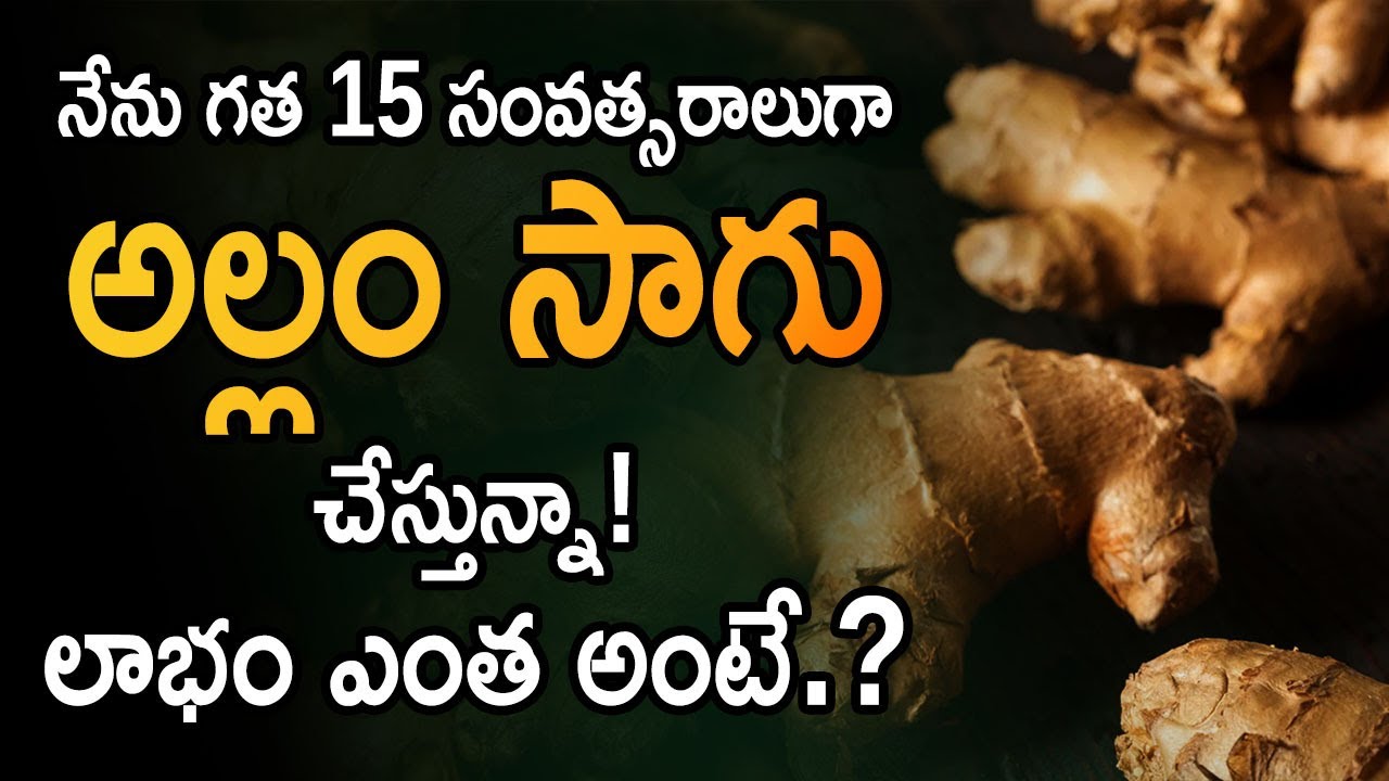 Ginger Cultivation Profit Per Acre How To Start Ginger Farming in