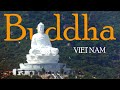 BUDDHA  ||  THE   BIGGEST  || VIETNAM