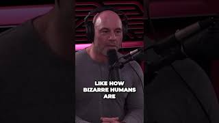 The Mind-Blowing Theory of Accelerated Human Evolution Experiment | Joe Rogan Experience