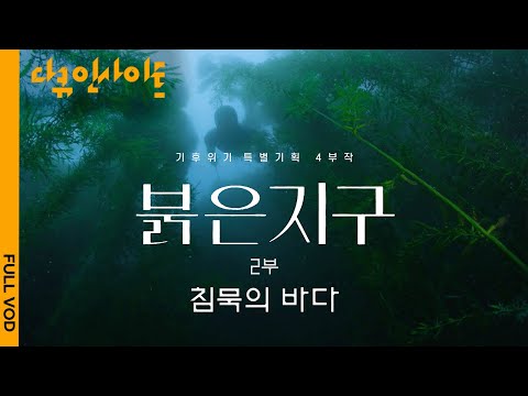 [다큐인사이트 4K FULL] 제주도 바다가 죽어가고 있다. 사라지는 기존 해양생태계 | 기후변화 특별기획  붉은 지구 2부 침묵의 바다 (KBS 210909 방송)