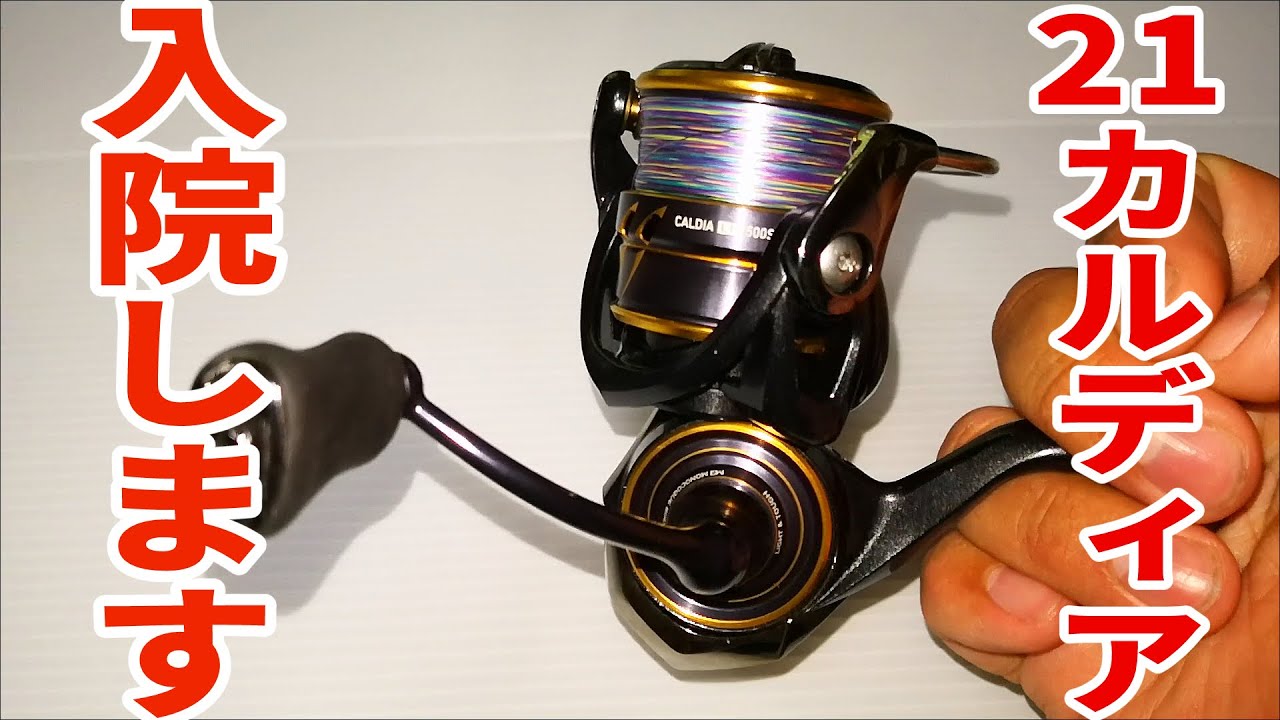 If you have purchased 21 Caldia LT and are experiencing any