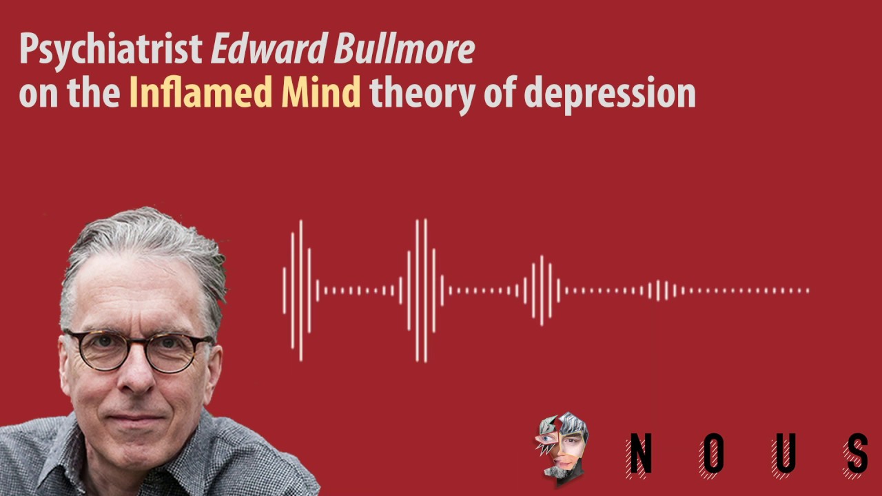Edward Bullmore on the 'Inflamed Mind' theory of depression - YouTube