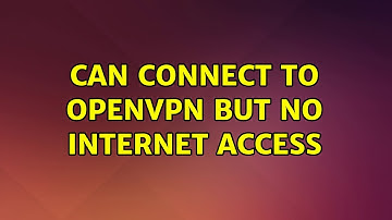 Can Connect to OpenVPN but no internet access