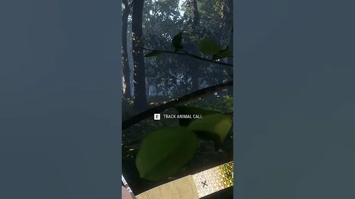 Video 9019561: bengal tiger, tiger hunting, tiger face