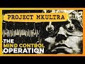 Project mkultra the cias mind control operation