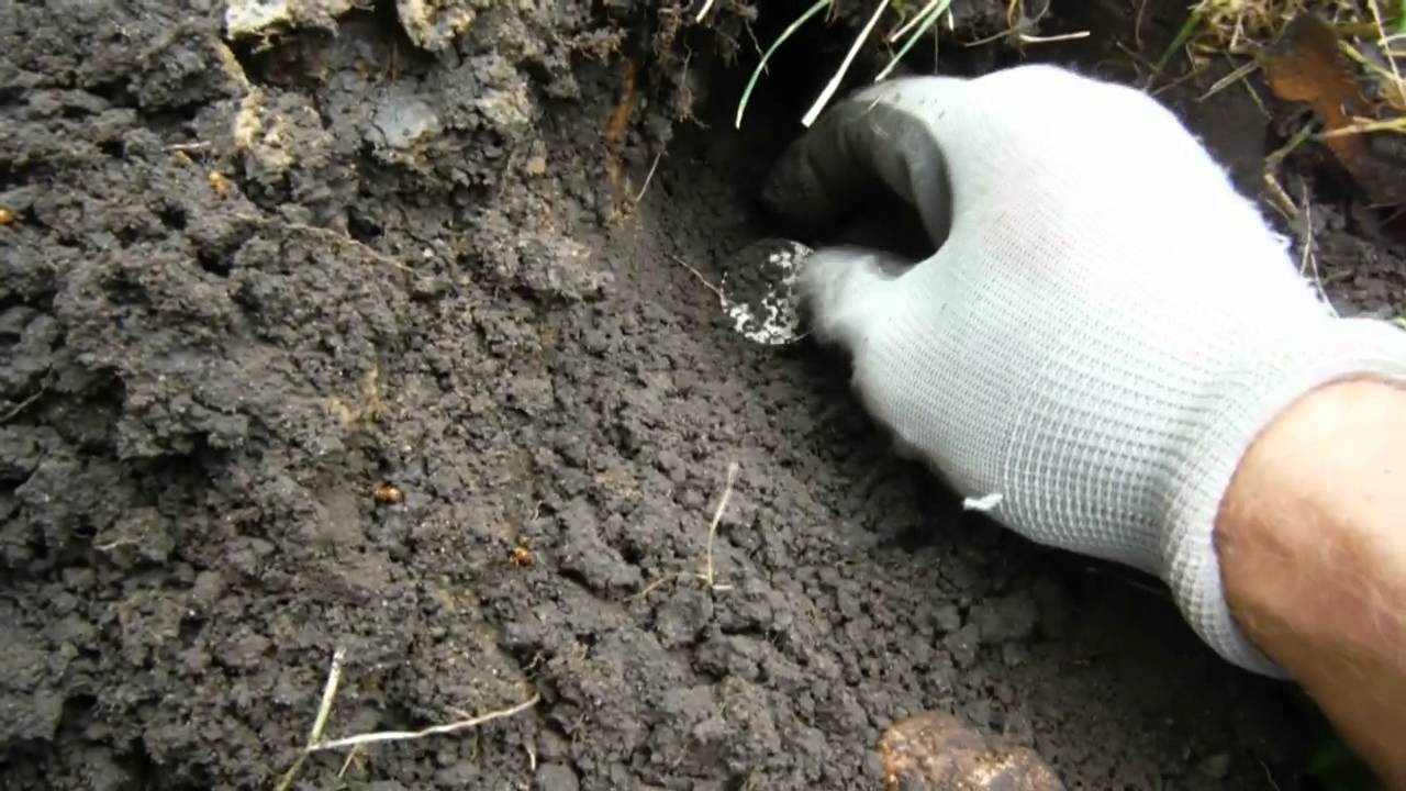 Hot Spot Metal Detecting! 1890's Lake Resort Part 4 YouTube