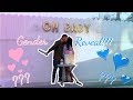 BEST GENDER REVEAL!!! (WITH A TWIST!!!)