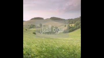 سورة : الفيل القارئ : خالد الجليل