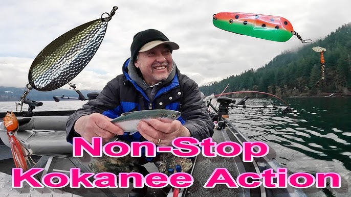 Testing Is Your Boat HOT OR NOT? Kokanee Limits 1/2 hr: Leadcore,  Downriggers & Setback