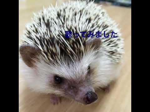 「Departures〜あなたにおくるアイの歌」 egoist うたってみた