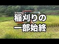 プロの技見せます　　＃稲刈り　＃オペレーター