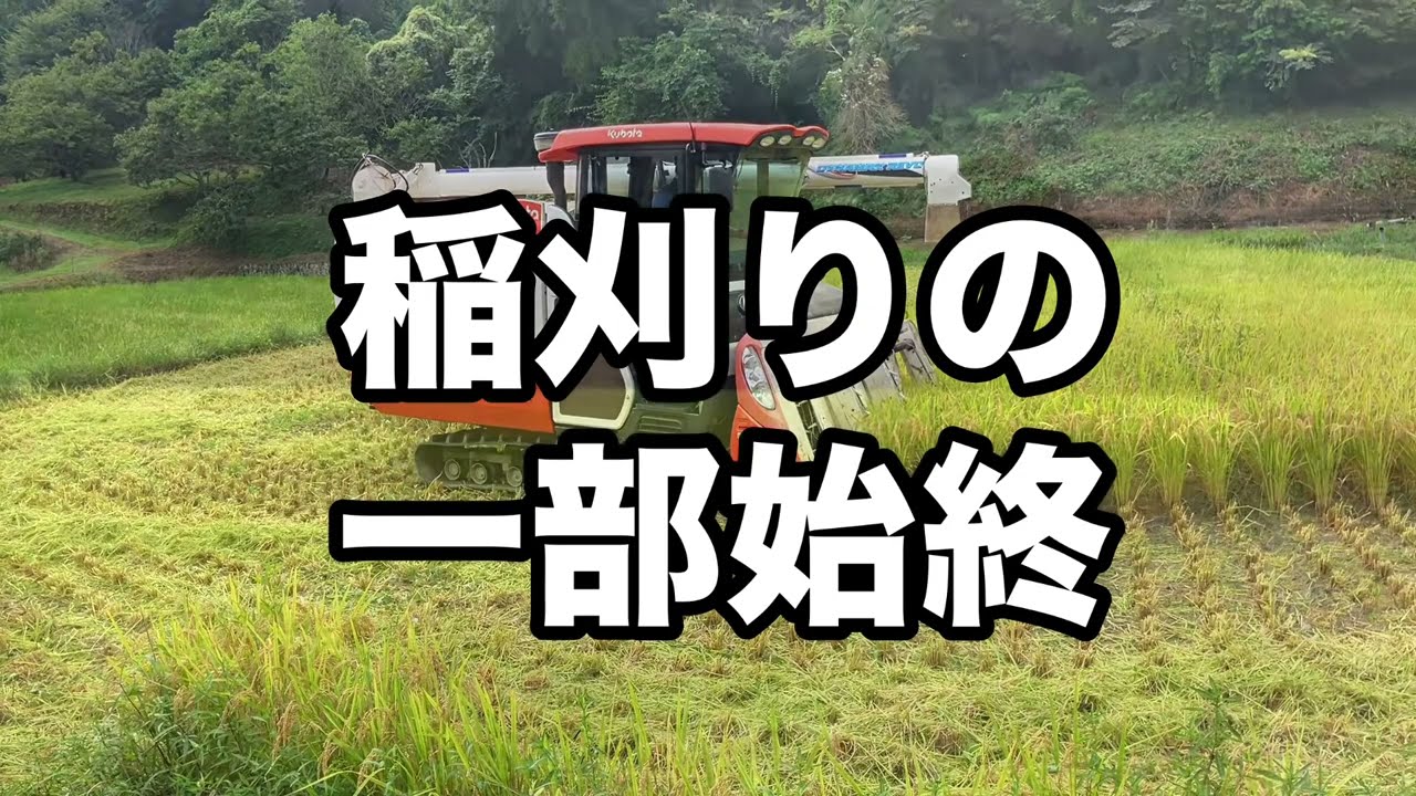 プロの技見せます　　