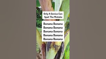 Genius Mistake:Ep.1304 | Skill Challenge!#search #puzzle #shorts