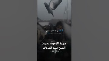 ما تيسر من سورة الزخرف بصوت فضيلة الشيخ سيد الشحات صالح