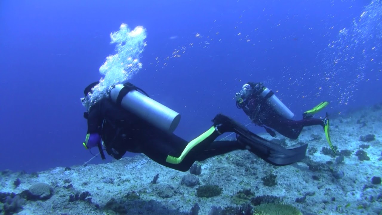 Peleliu cut reef hook diving in Palau. YouTube