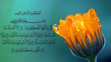 سورة الكافرون بصوت ادريس ابكر