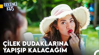 Sanem'in Aşkı Bulma Yolculuğu #133 - Erkenci Kuş