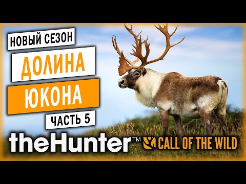 Видео: theHunter Call of the Wild #5 🐺 - Охота На Карибу - Сезон Охоты "С Нуля" (2020)