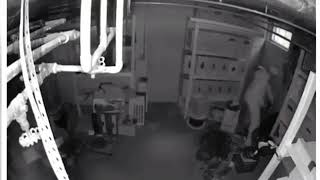 KAMUFLE OLARAK SWAT'DAN KURTULAN HIRSIZ