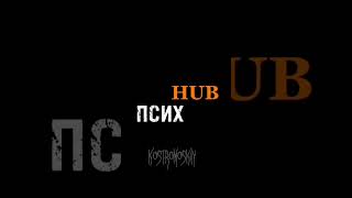 ПСИХ HUB🤪