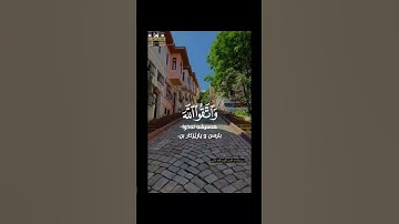 إنما المؤمنون إخوة #قرآن_كريم #تلاوةخاشعة