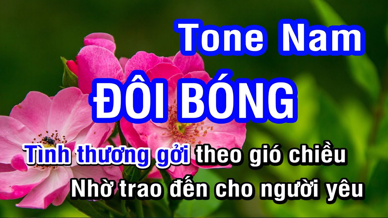 Karaoke Đôi Bóng Tone Nam (Hoàng Oanh) | Nhan KTV
