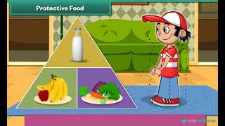 Food and Health   Class 3   Science   CBSE   ICSE   FREE Tutorial