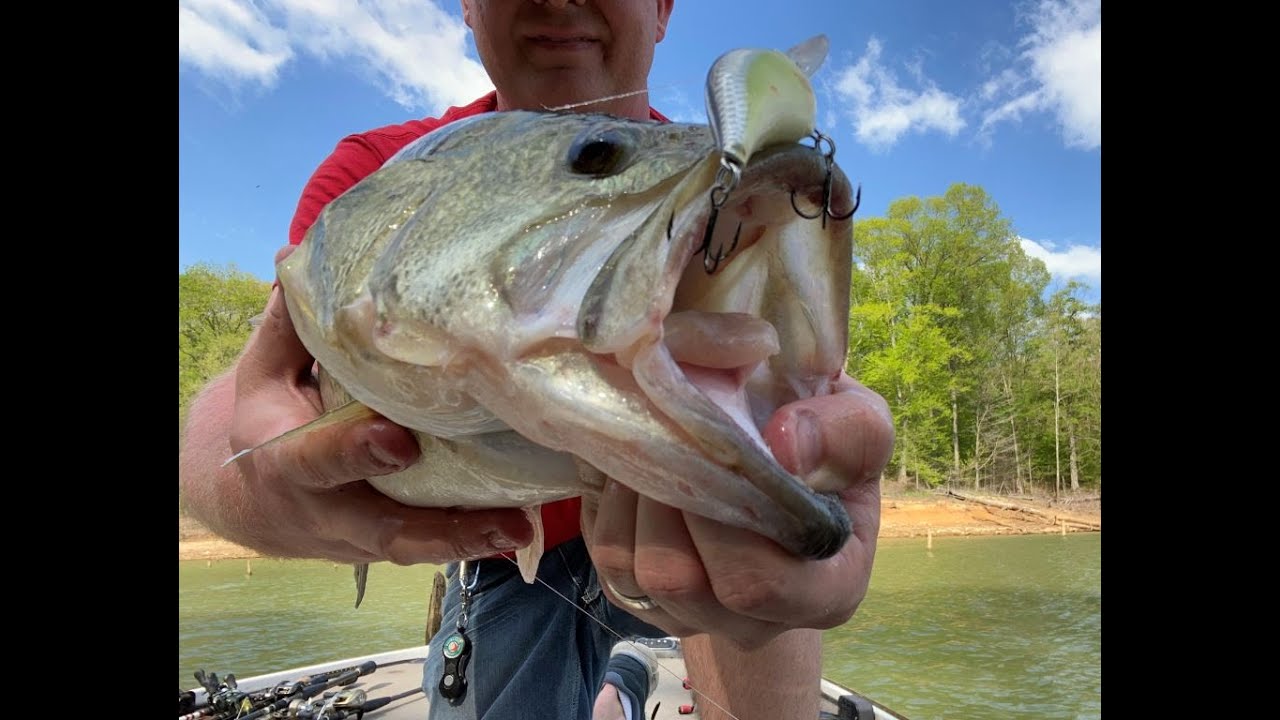 Patoka Lake Bass Fishing, April... DT6 IN HIS FACE!!! Rapala DT6