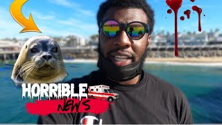 I GOT ATTACKED BY A SEA LION AT REDONDO BEACH *HORRIBLE NEWS*