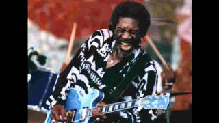 Video thumbnail of "Luther Allison - Little red roster.wmv"